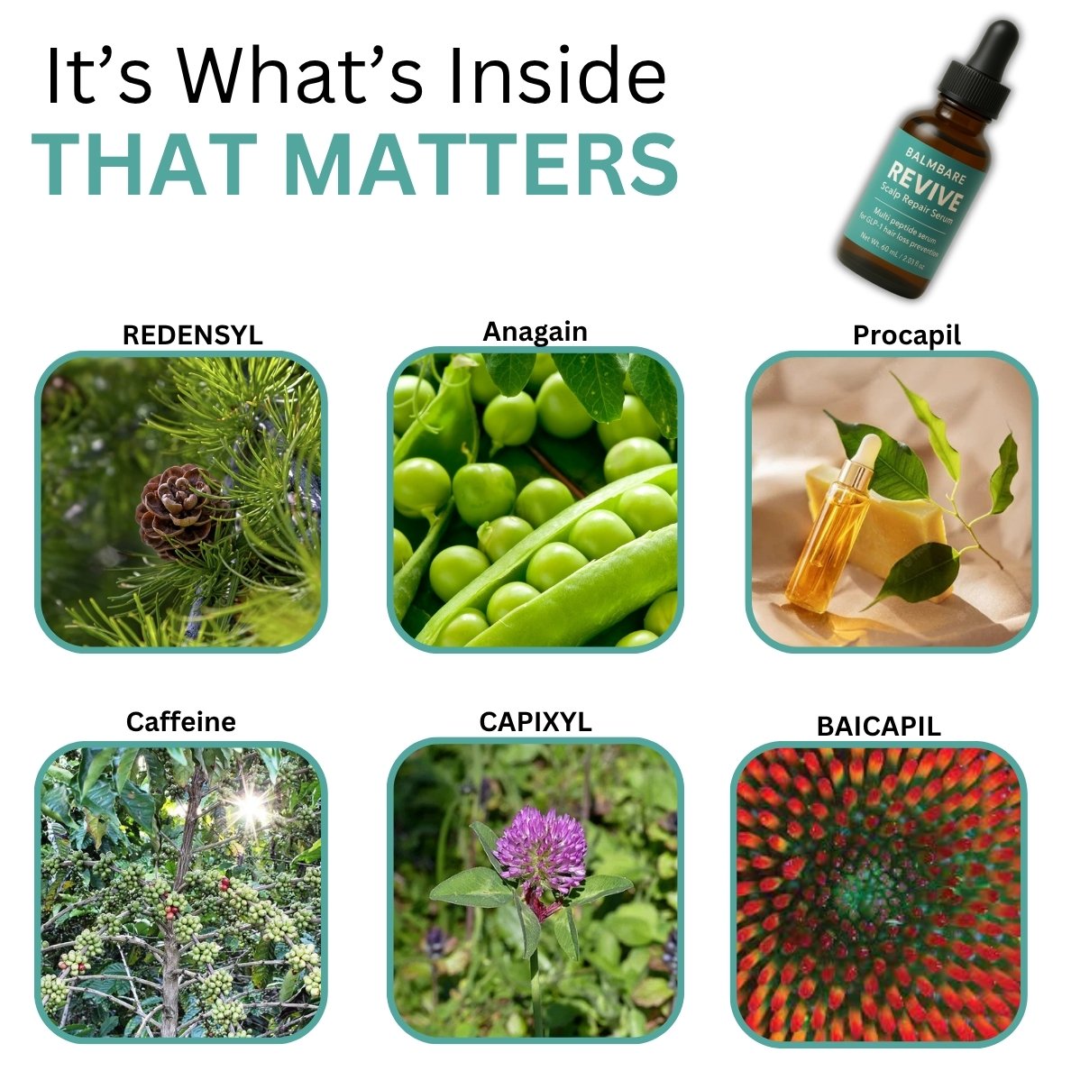 40oz insulated mug with a phone holder and free gifts included sign.