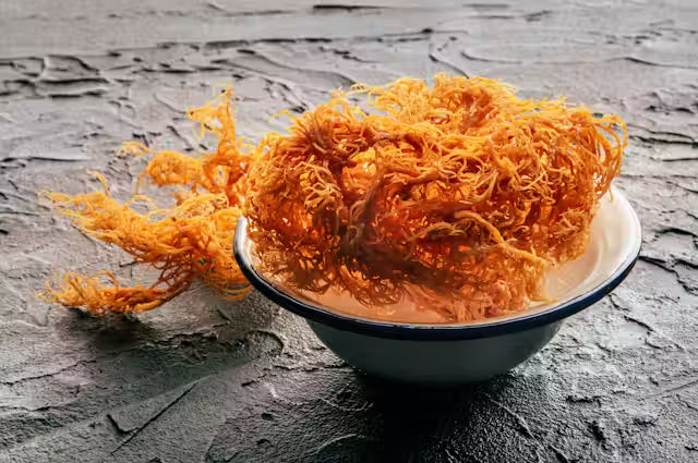 Unveiling the Secrets of Sea Moss