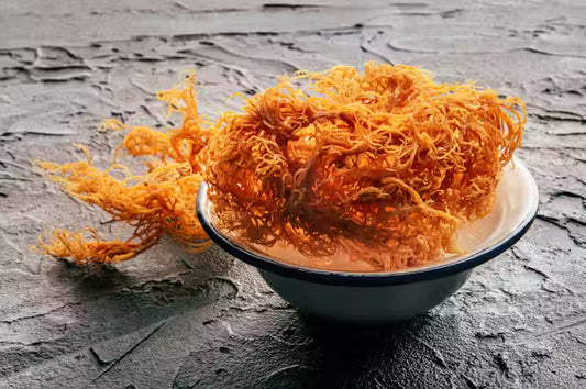 Unveiling the Secrets of Sea Moss